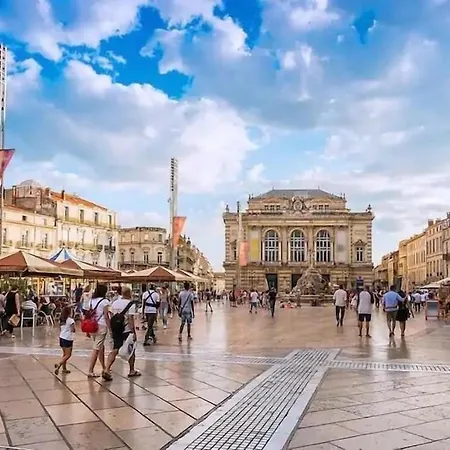 Appartamento Climatise Avec Terrasse Et Parking Centre Montpellier
